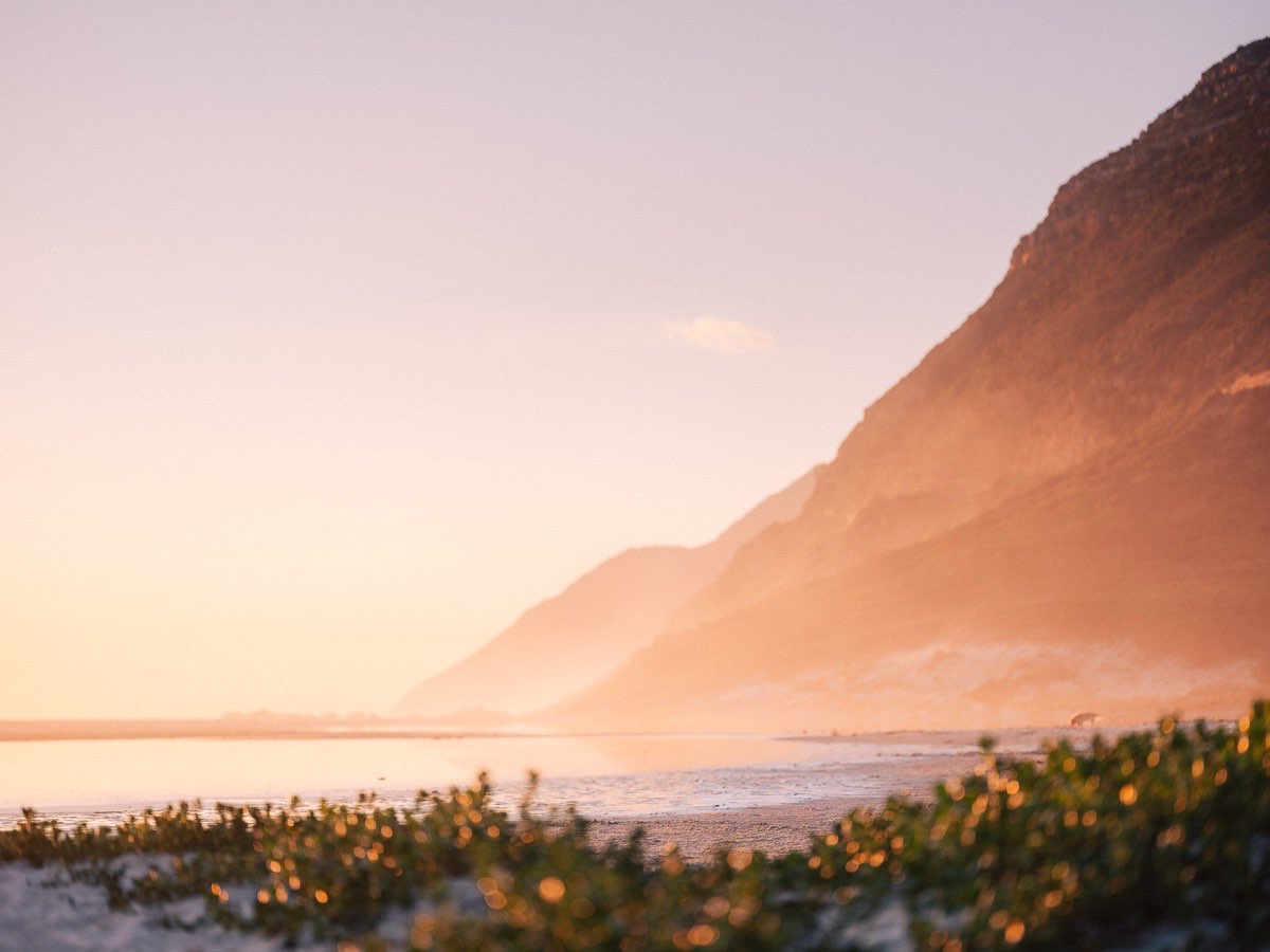 Golden sunset light over a coastal mountain, beach vegetation in the foreground
